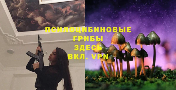 винт Шали