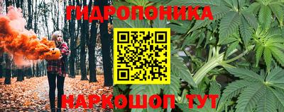 a pvp Азнакаево