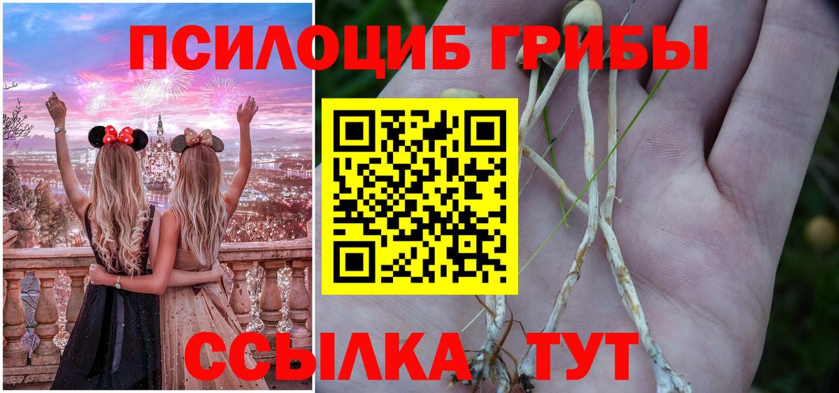 Псилоцибиновые грибы прущие грибы  Вход с VPN  Анапа 