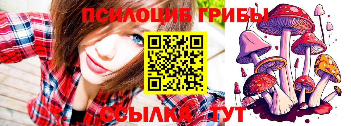 Псилоцибиновые грибы Psilocybe Анапа