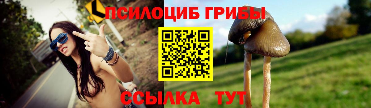 наркошоп  Анапа  Галлюциногенные грибы GOLDEN TEACHER 